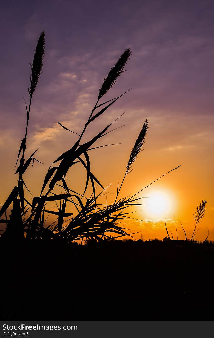 Sky, Sunset, Sunrise, Horizon