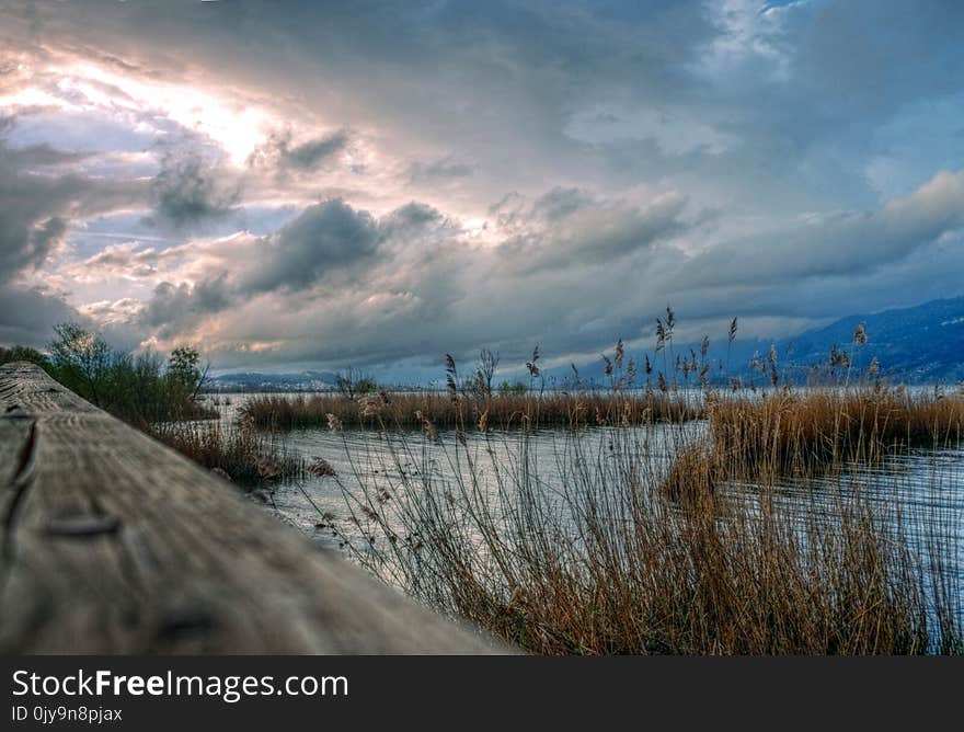 Sky, Cloud, Shore, Horizon