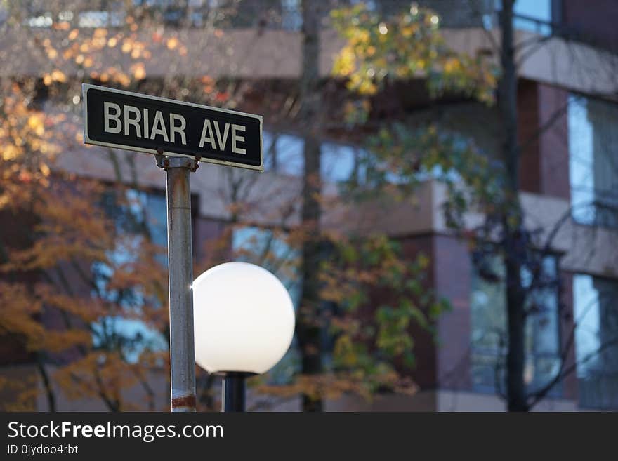 Street Sign, Signage, Sign, Street