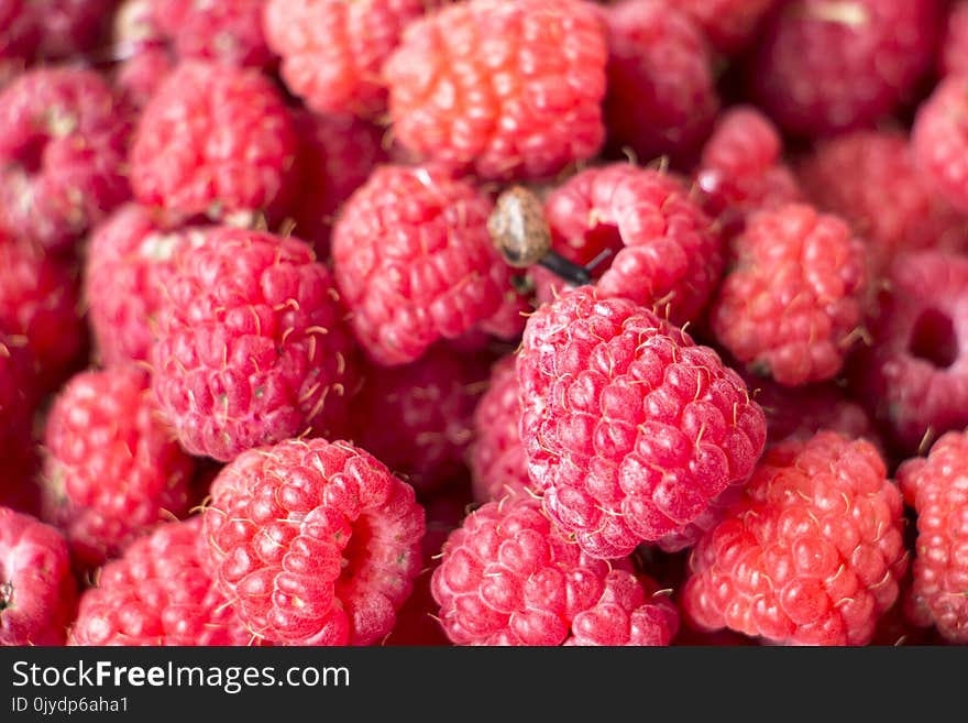 Natural Foods, Raspberry, Berry, Fruit