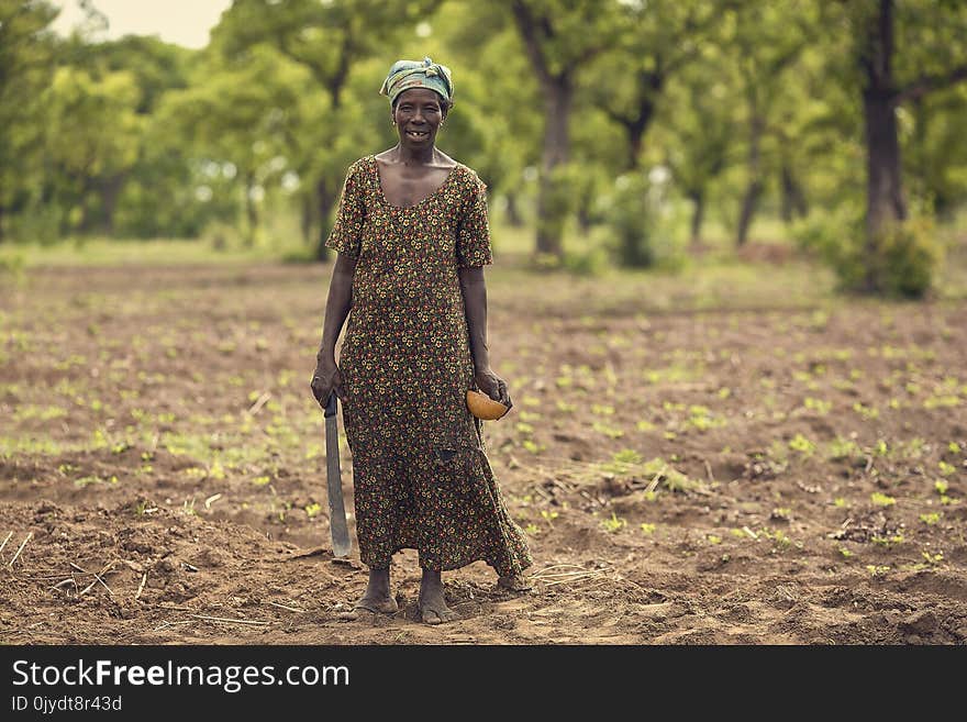 Field, Agriculture, Grass, Soil