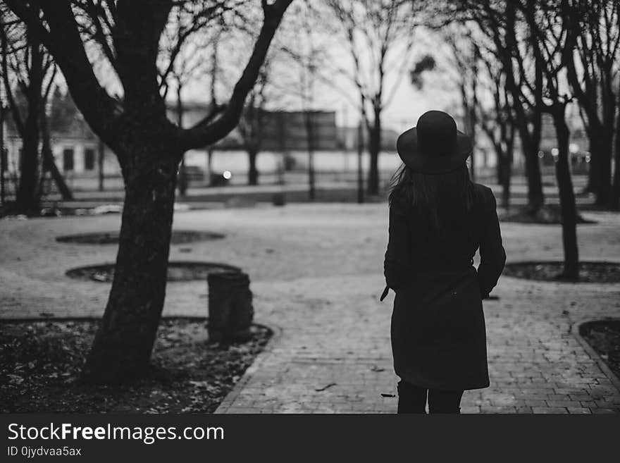 Photograph, White, Black, Tree