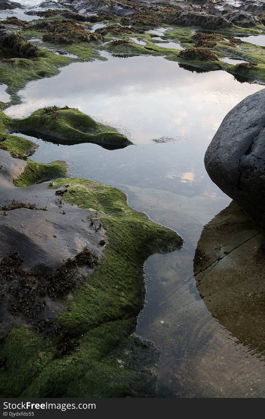 Water, Reflection, Nature, Rock