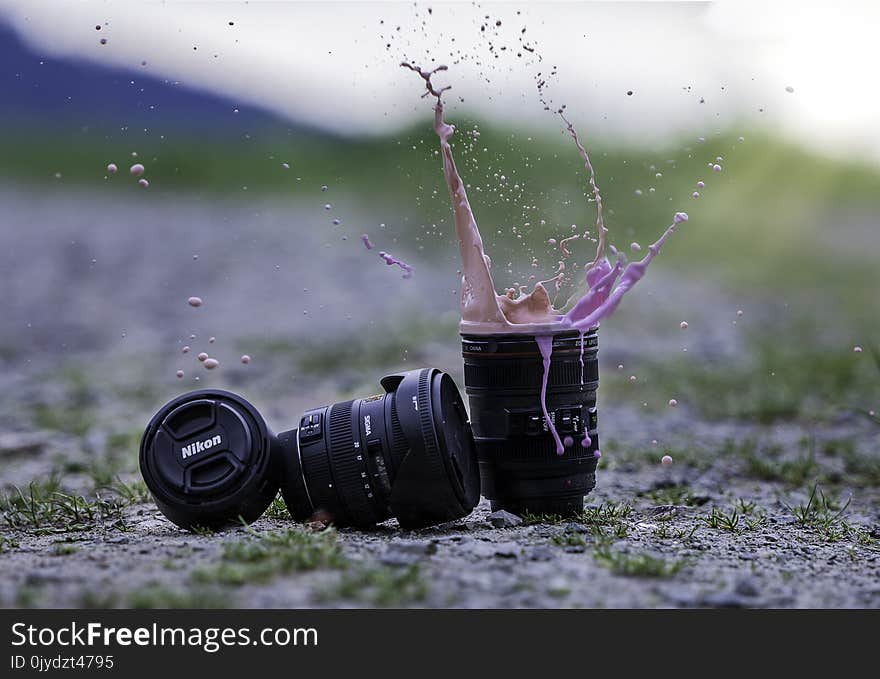 Water, Nature, Grass, Photography