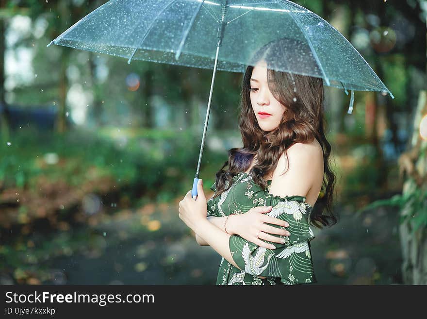 Beauty, Lady, Girl, Tree