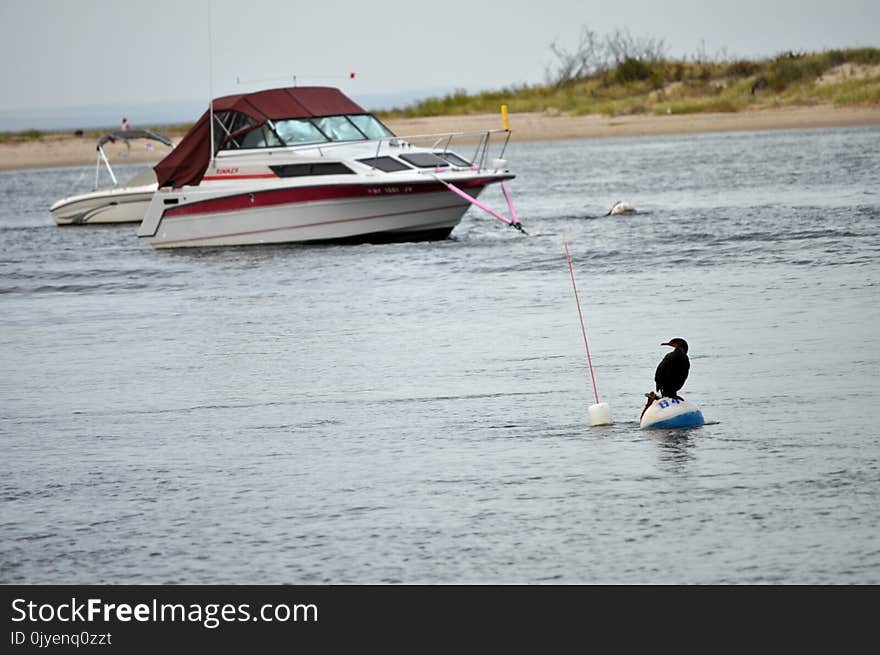 Waterway, Water Transportation, Boat, Motorboat