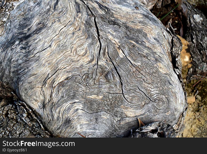 Rock, Tree, Bedrock, Wood