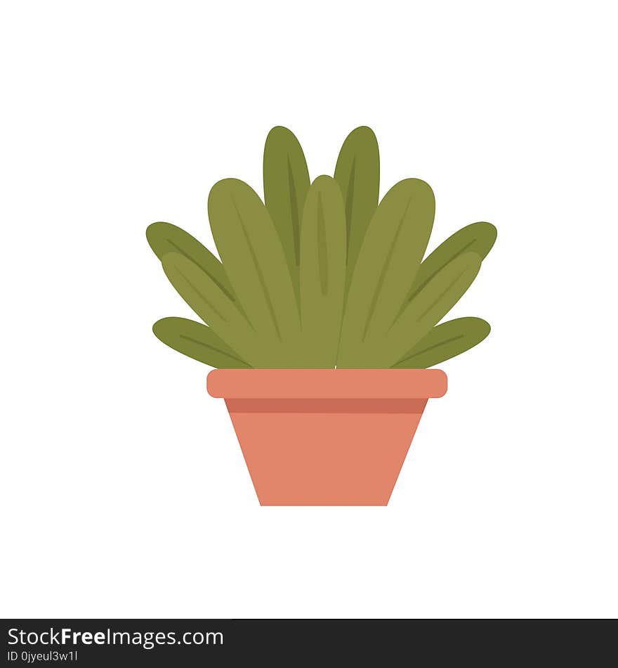 Plant, Flowerpot, Cactus, Grass