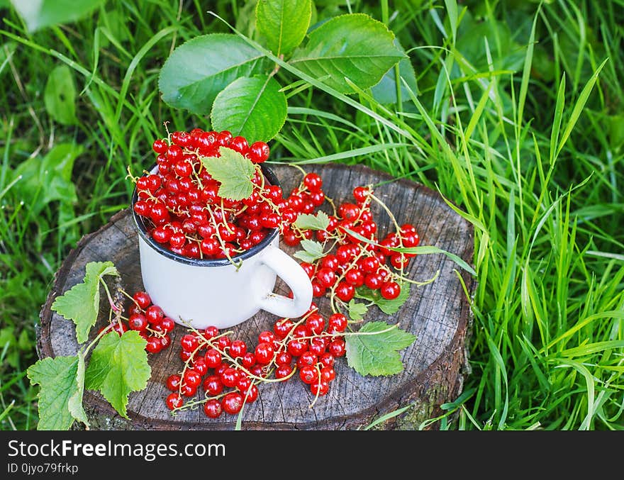 Red Currant In A Metal Mug On The Street