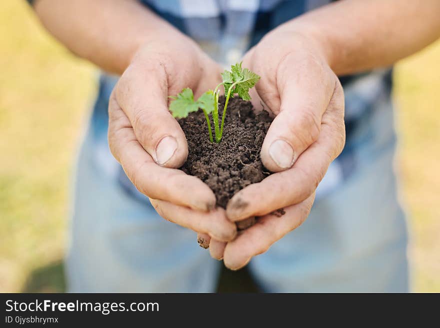 Pleasant Man Holding A Handful Of Soil