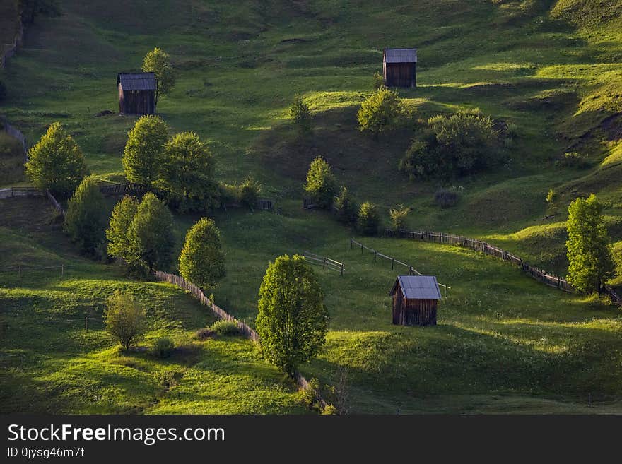 Cottages on a green field in the rural countryside of Romania