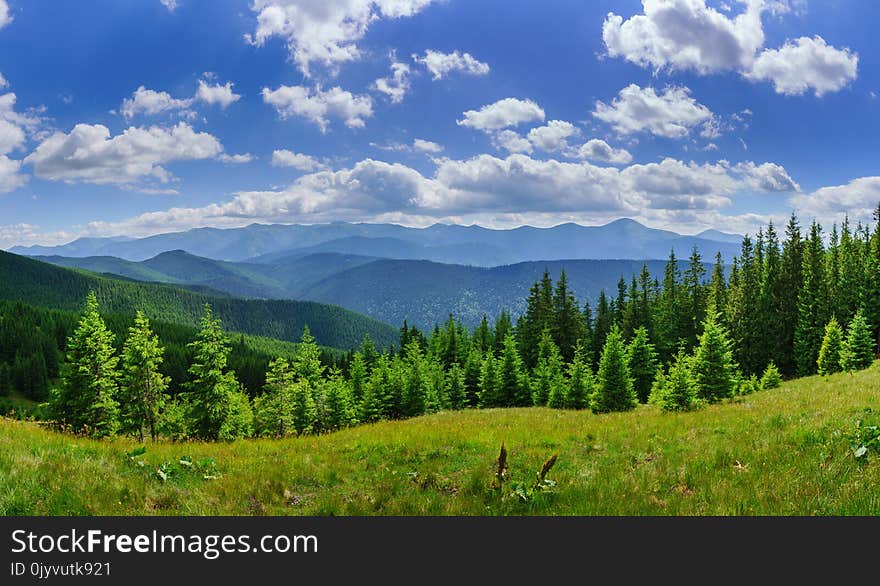 Panorama of beautiful wooded hills and blue sky with white clouds. Panorama of beautiful wooded hills and blue sky with white clouds.