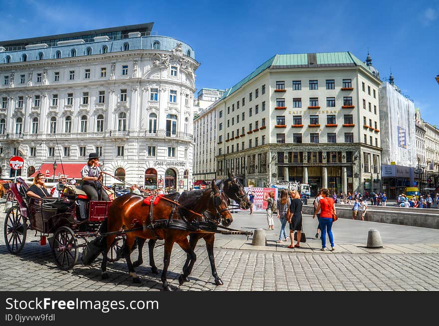 Person on Carriage With Two Horses Near Concrete Building