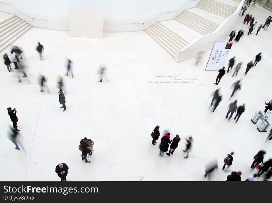 High-angle Photography of People in Ground