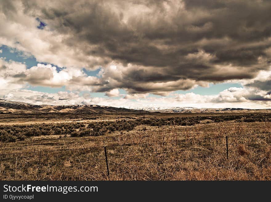 Green Grass Field Under Cloudy Sky