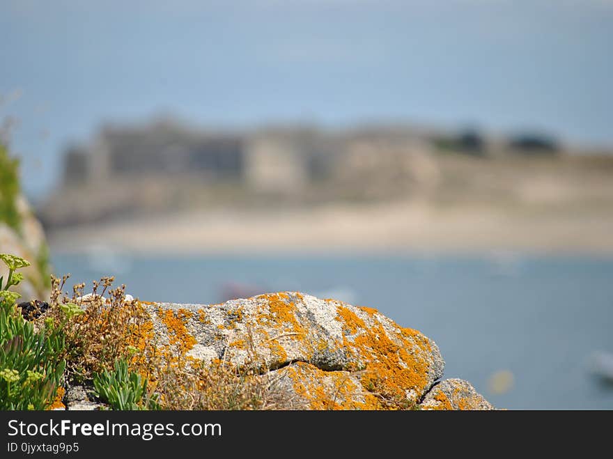 Sea, Sky, Shore, Rock