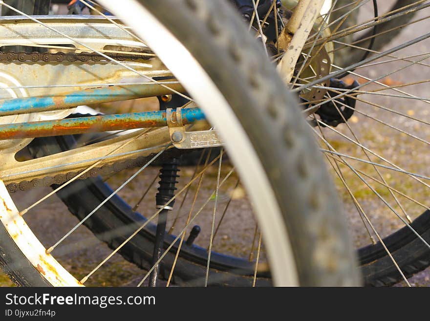 Land Vehicle, Bicycle Wheel, Road Bicycle, Spoke