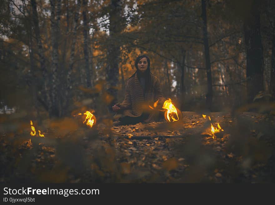 Forest, Bonfire, Geological Phenomenon, Darkness