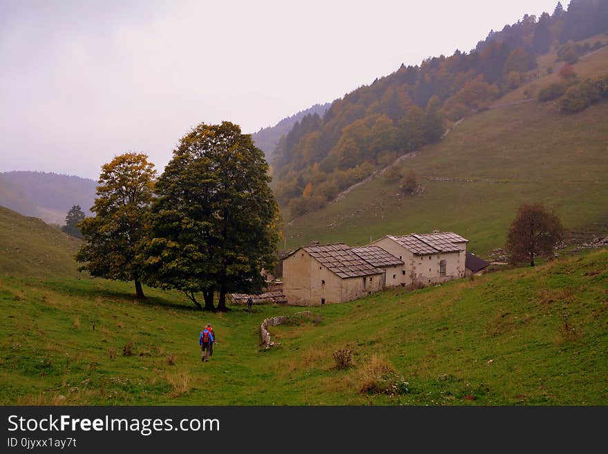 Grassland, Highland, Mountainous Landforms, Pasture