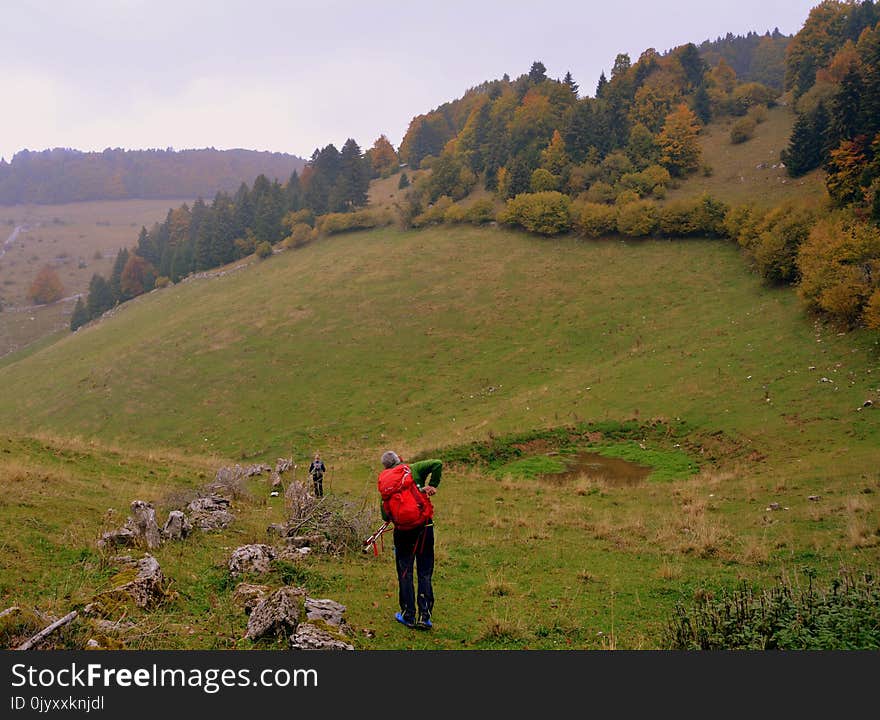 Grassland, Hill, Highland, Wilderness