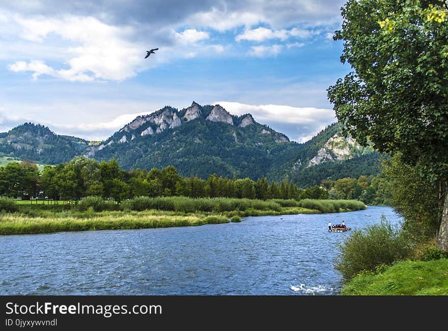 Nature, Wilderness, Nature Reserve, Mount Scenery