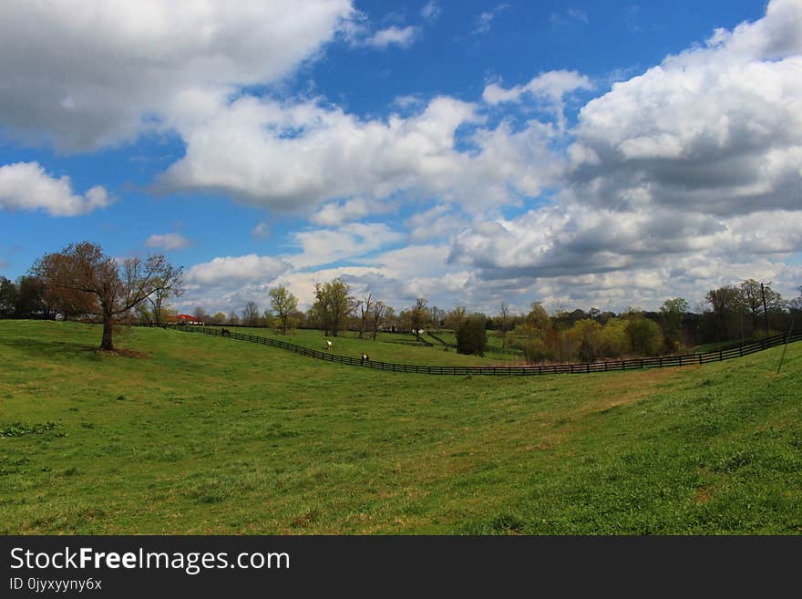 Sky, Cloud, Grassland, Pasture