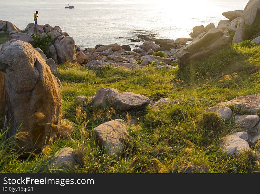 Nature Reserve, Rock, Fauna, Grass