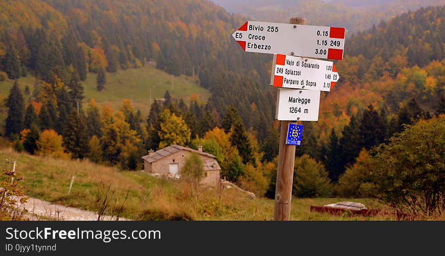 Nature, Mountainous Landforms, Wilderness, Road