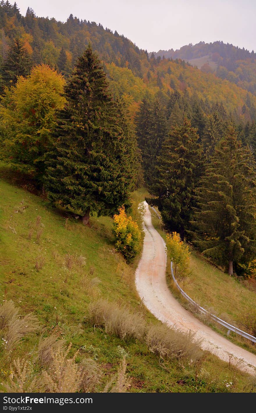 Nature, Mountainous Landforms, Road, Path