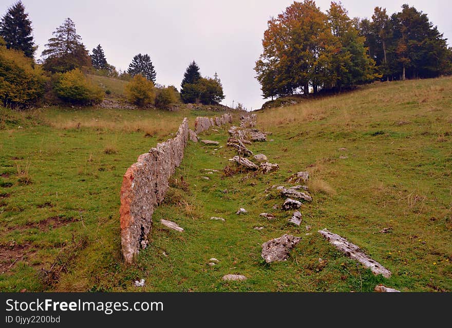 Ecosystem, Nature Reserve, Wilderness, Grassland