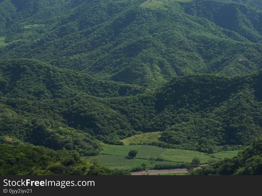 Vegetation, Highland, Hill Station, Nature Reserve