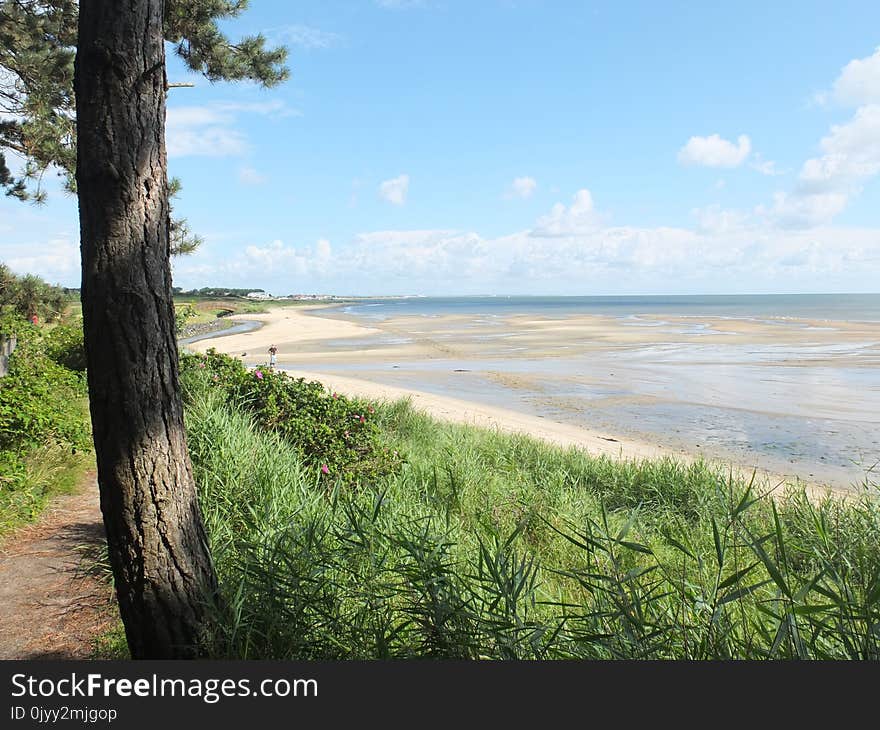 Body Of Water, Shore, Coast, Beach