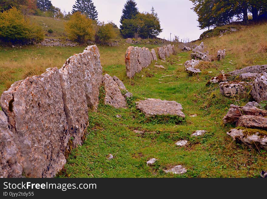 Rock, Grass, Bedrock, Wall