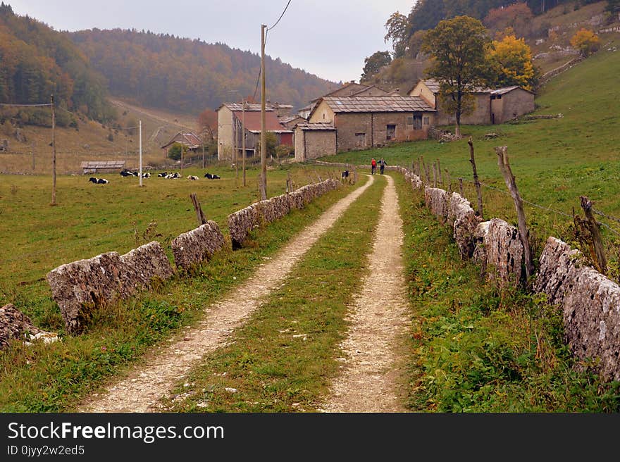 Sky, Grassland, Highland, Pasture