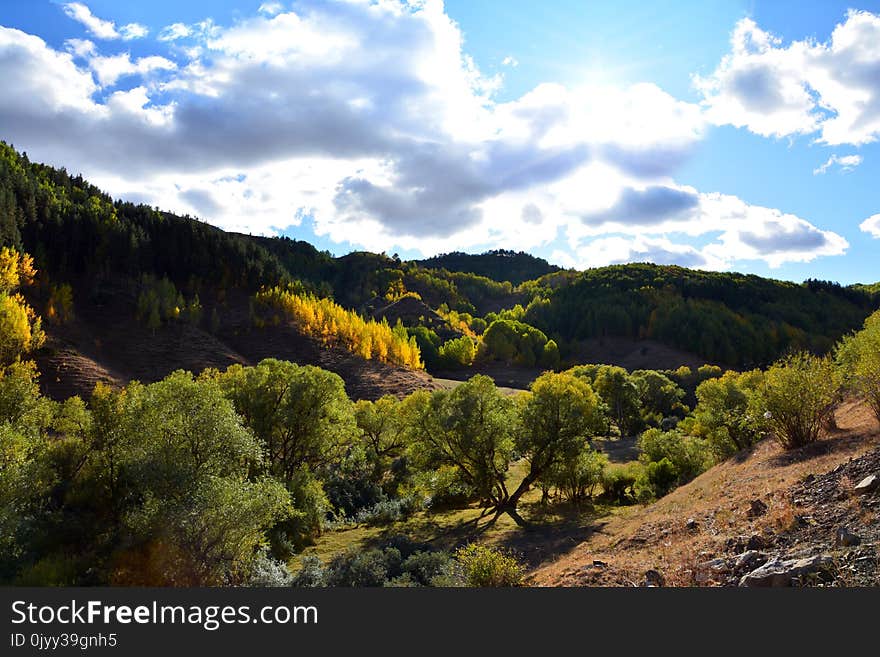 Nature, Sky, Wilderness, Vegetation