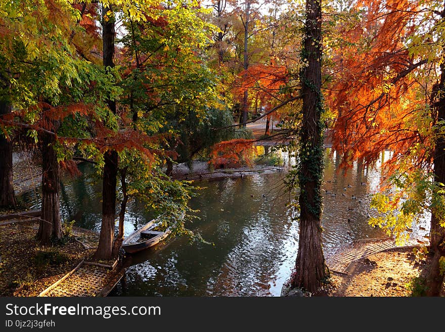 Landscape with autumn colors in the trees