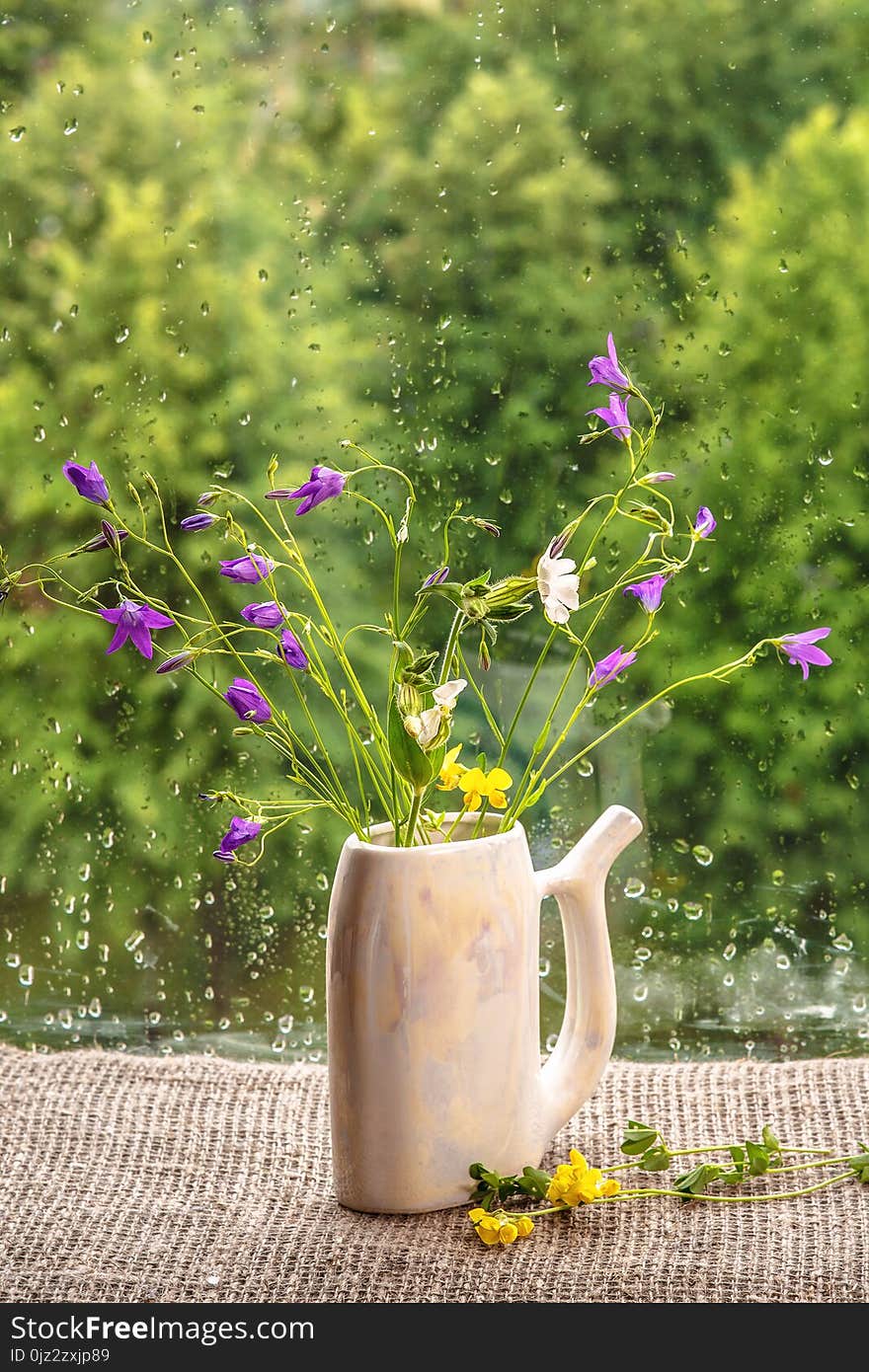 A bouquet of wild flowers stands on the window sill. On glass rain drops. Purple flowers bells on a natural green background. Rustic style. A bouquet of wild flowers stands on the window sill. On glass rain drops. Purple flowers bells on a natural green background. Rustic style.