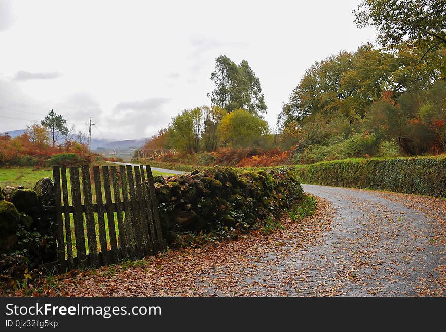 Autumn colors in the fields