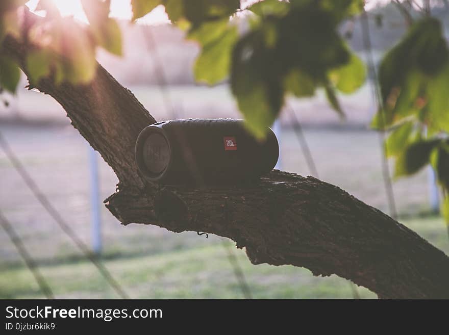 Black Jbl Bluetooth Speaker on Tree Branch