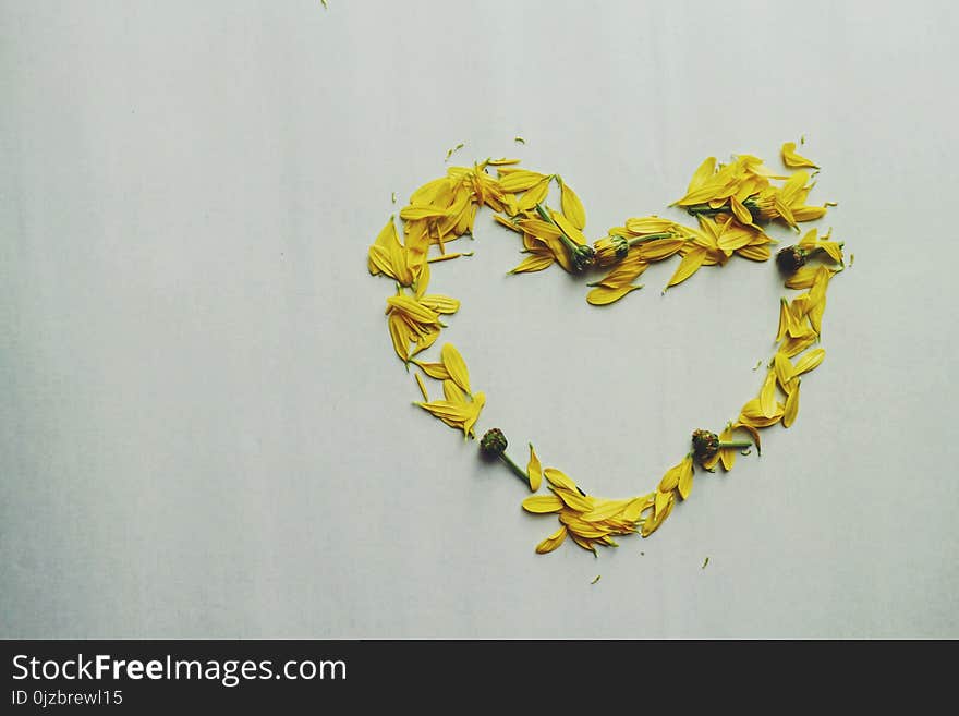 Heart Shape Yellow Flower Petals