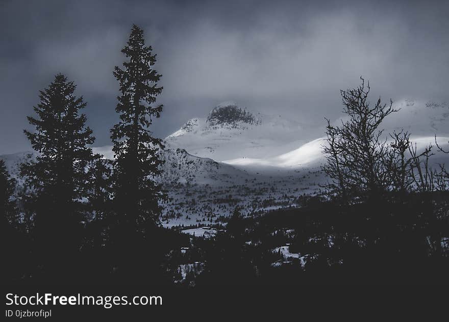 Glacier Mountains Near the Forest