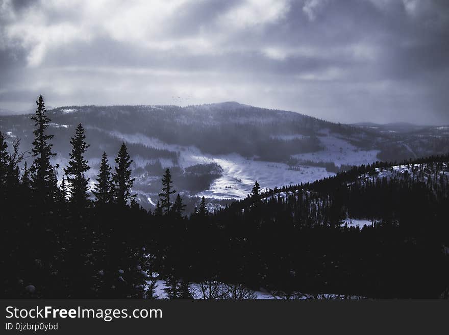 Landscape Photo of Mountains