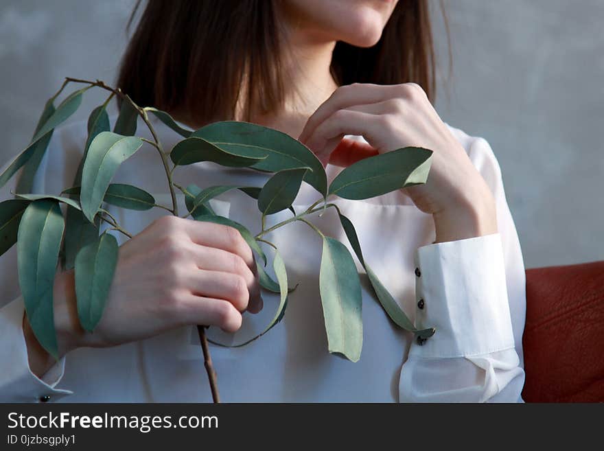 Woman Holding Green Leaf Plant