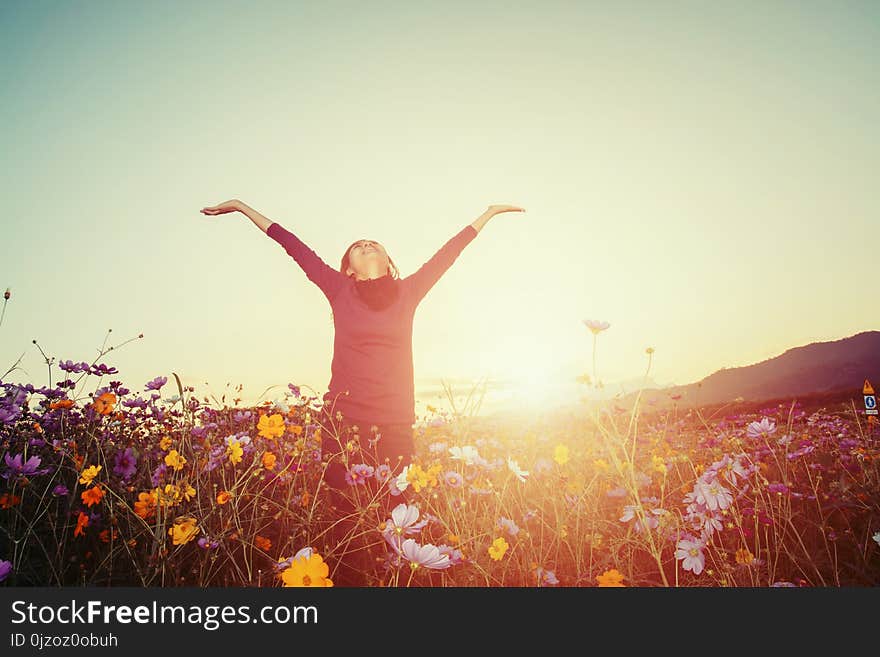 Lifestyle concept - beautiful happy woman enjoying fresh air in cosmos flower field