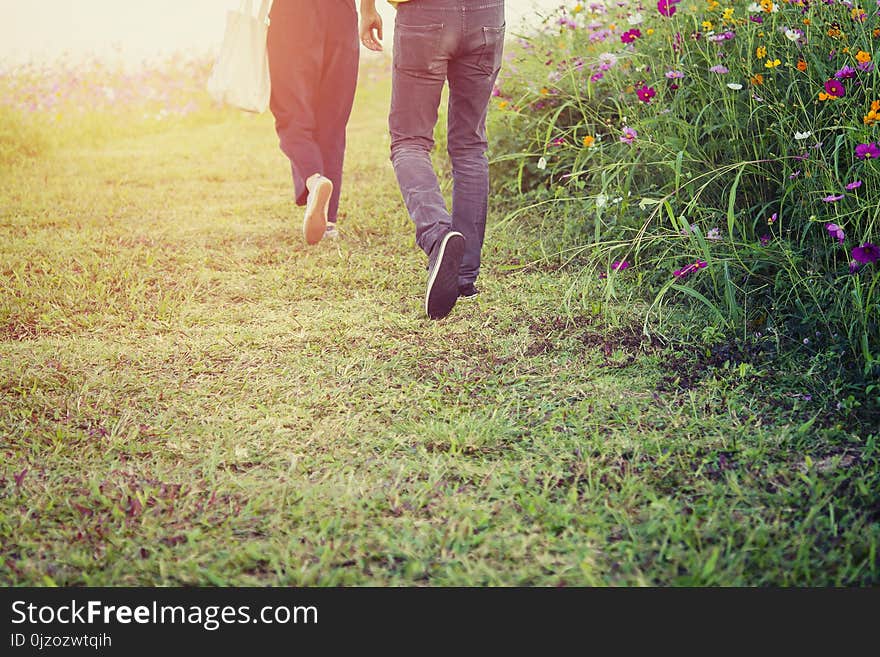 Young couple walking in the cosmos field and On the meadow