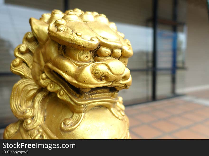 Chinese gold lion, selective focus on the head of a lion.