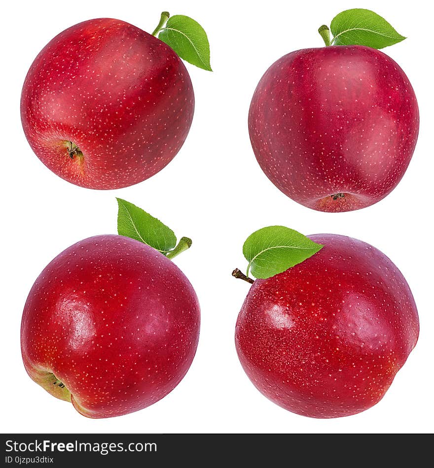 Apple on a white background