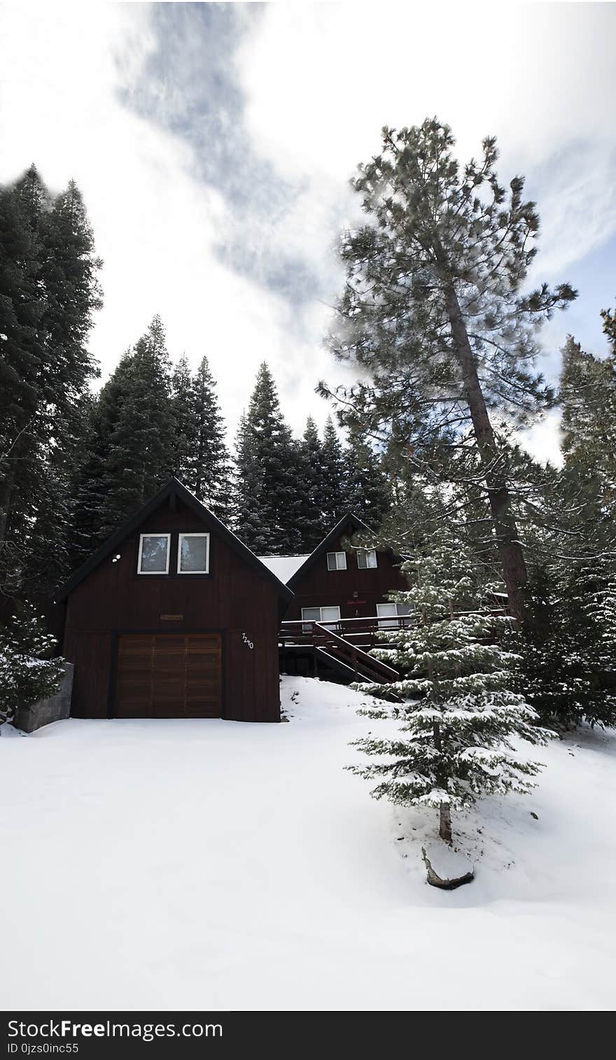 Brown Wooden House Beside Green Leaf Trees