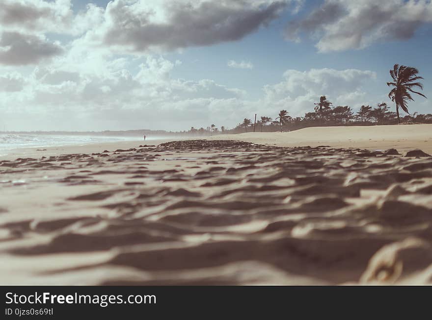 Brown Sands Under Blue Skies Photography