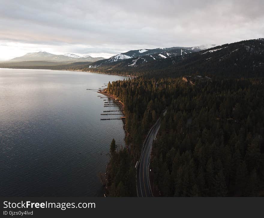 Aerial Photography of Dense Forest Near Body of Water